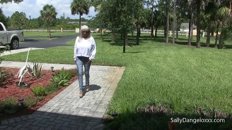 Confessions Of A Babysitter - Sally D'angelo