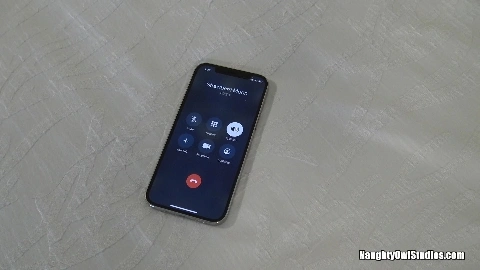 Festival Fellatio - Strawberri Moon