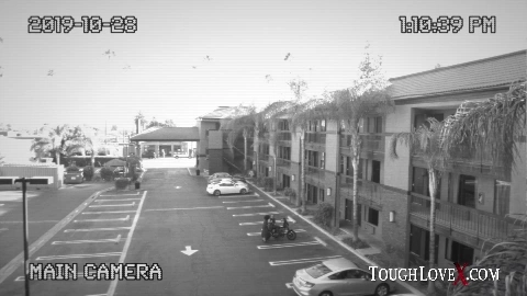 Julz Gotti Tough Love - ToughLoveX