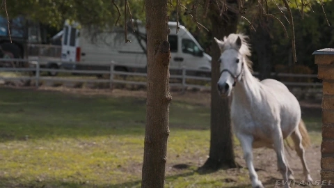 Kelly Stafford Rebel Rhyder And Lilly Mays - EvilAngel