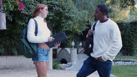 Stella Luxx 6 - PenthouseGold