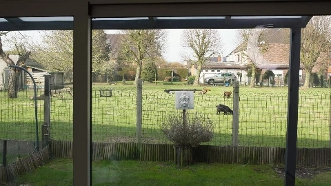 MeidenVanHolland – Sasha Geile Hypotheek Deal