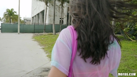 Vienna Black Revealing Vienna