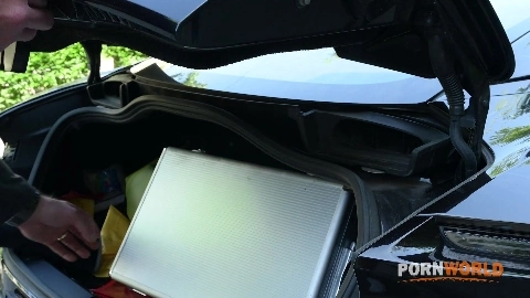 Alexa Flexy And Dina Joy - PornWorld