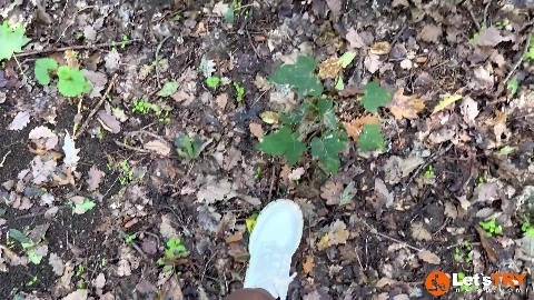 Petra 2 - Letstryhard