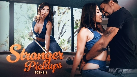 The Cat Call 4K - Nicole Doshi