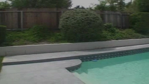 Liquid Gold 11 - Georgia Peach