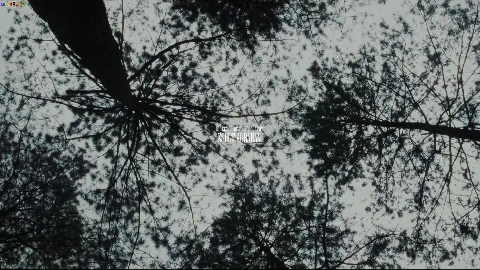 Amirah Adara Zazie Skymm When The Past Came Home - MixedX