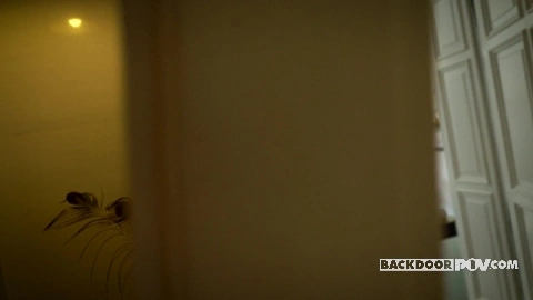 BackdoorPOV - Stacy Bloom - Secret Business Deal