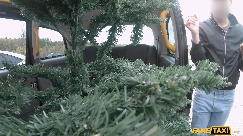 Lia Lin - FakeTaxi - Cute Brazilian Gives Xmas Tip