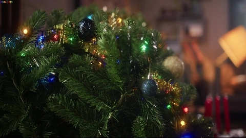 Angelica Heart And Lia Lin - MixedX