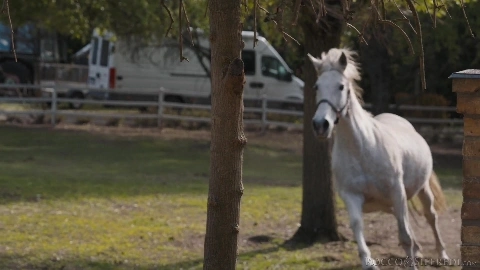 Amirah Adara, Rebel Rhyder, Lilly Mays -Rebel Meets Rebel - scene 3