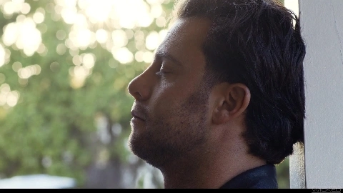 American Stud - Coco Lovelock