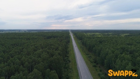 Alison Rey And Alexis Malone - MomSwap