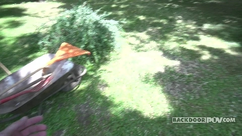 When the Owners Are Away... - Miranda Miller