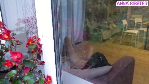 The Story of the First Acquaintance With My Neighbor - Anna Sibster