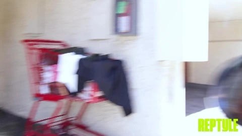 Daydream Daisy - ReptyleLabs