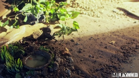 Bree Brooks And Chloe Temple Blonde MILF And Eager Cutie Share Studs Cock - Milfy