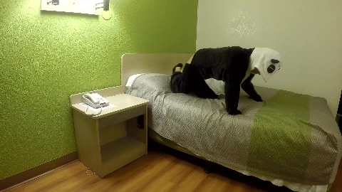 Save the Pandas - Daisy Dabs