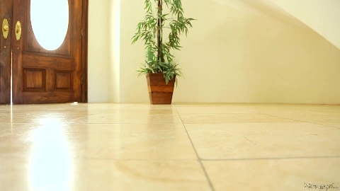 Takes Two To Tango Part One (India Summer Hannah Hartman)