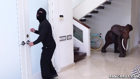 Sara Jay Fucks The Thief