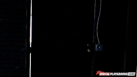 Sexy Brunette Beauty: Harley Quinn Works A BBC