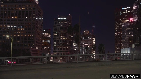 Last Night In La - Elena Koshka