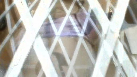 I've Been Sodomized 3 - Bobbi Starr
