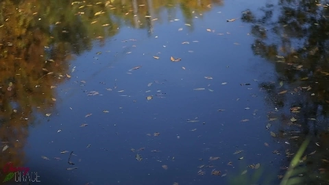 Public Creampie In The City Park - Cherry Grace