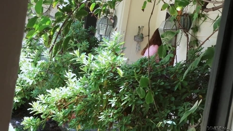 AmericanInnocence - Evan Stone - Jay Taylor