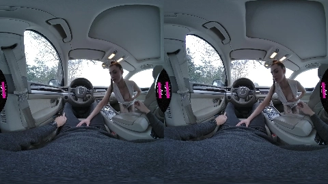 Sex In The Car With Nicole Sweet