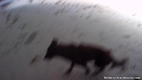 Holiday In Thailand   Part 2