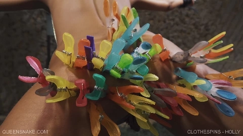 Clothespins - Queen Snake