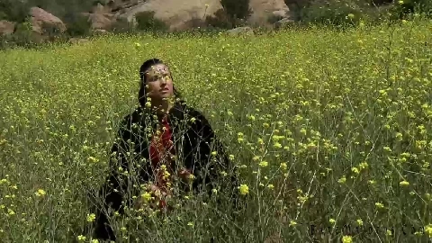 Elf Loving - Danica Dillon