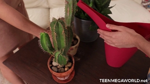 Beautyangels - Alison Lip And Nicole