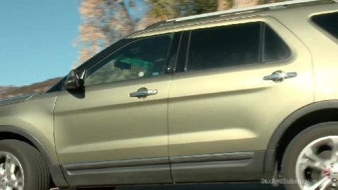 Gaia Convict Rehab - SexAndSubmission