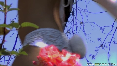 East of Easter - Angel Dark