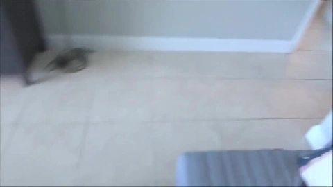 Brother & Little Sister Almost Caught By Dad - Lulu Chu