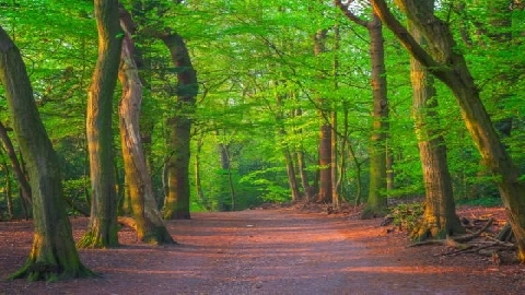 The Matchmaker Part 2 - Lena Paul