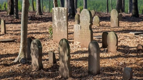 Red Flags - Raven Lane