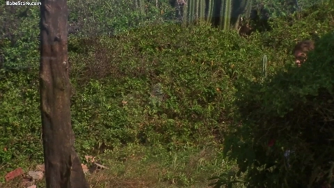 Lesbians have a picnic and it gets steamy, a man joins them as they start to get frisky - Babe Stare