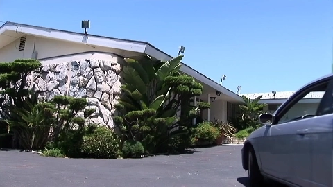 Sasha Grey Horny Schoolgirl