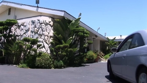 Sasha Grey Horny Schoolgirl