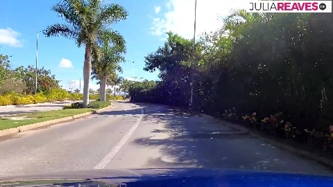 Milf sucks a huge cock inside the car to a cumshot - Julia Reaves