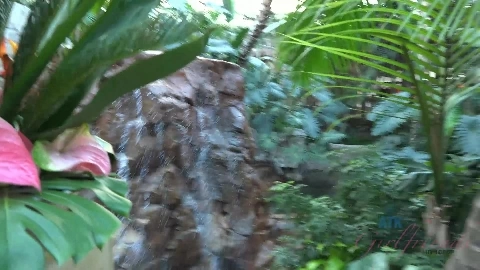 Las Vegas 2 part 4 - Rachel James