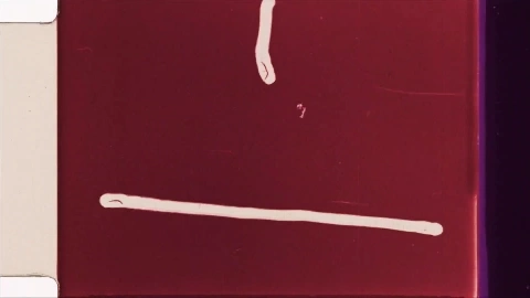 Sexo Com Brasileira Da Bunda Grande Durante Festa a Fantasia - Matheus Castro