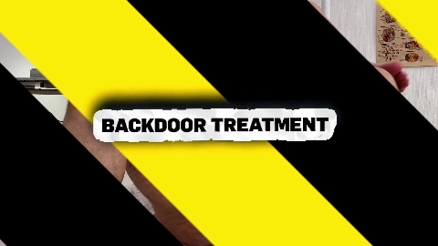 Backdoor Treatment - Mina Malina