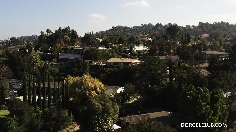 Ana 4 You - Ana Foxxx