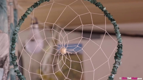 Van Life - Juno & Pixie Faye