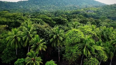 Honeymoon pt.1 - The Seduction - Bridgette B, Ivy Wolfe